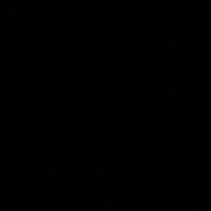 Meet your Posher, Ava